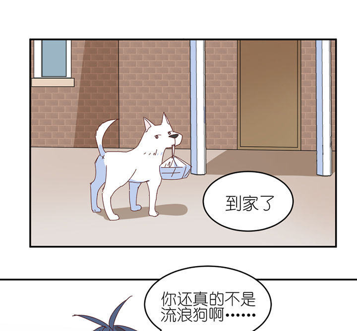 第57章：才不是流浪狗18