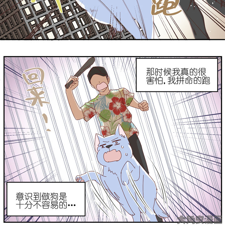 第59章：我讨厌狗17