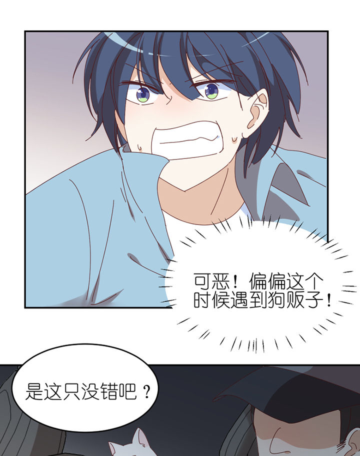 第66章：祸不单行16