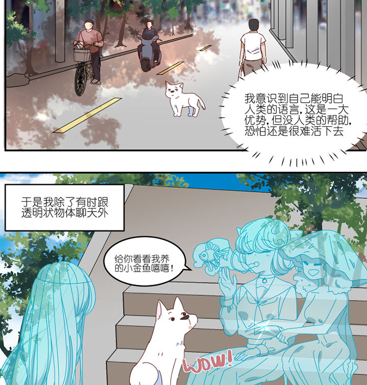 第59章：我讨厌狗19