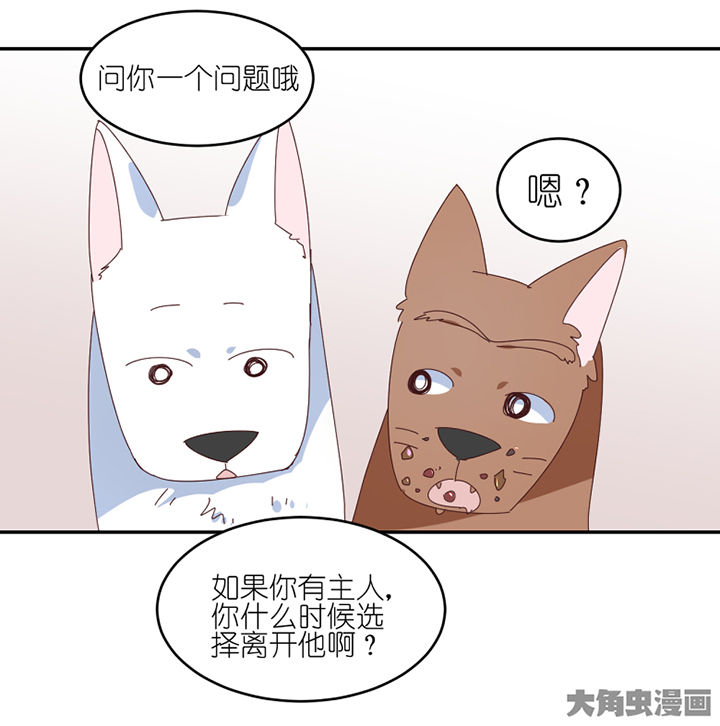 第58章： 主人？26