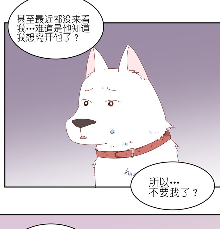 第63章：一波未平一波又起36