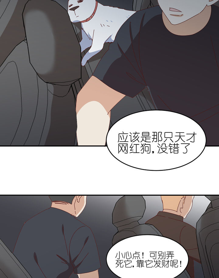 第66章：祸不单行17