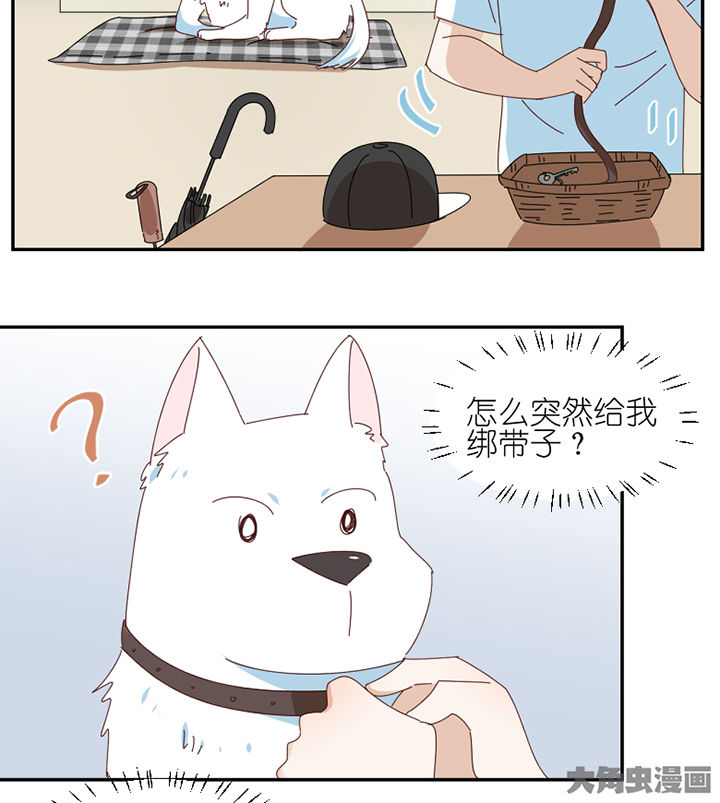 第62章：你不要我了吗8