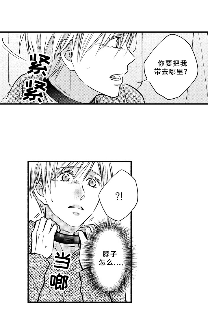 第39章：限制7