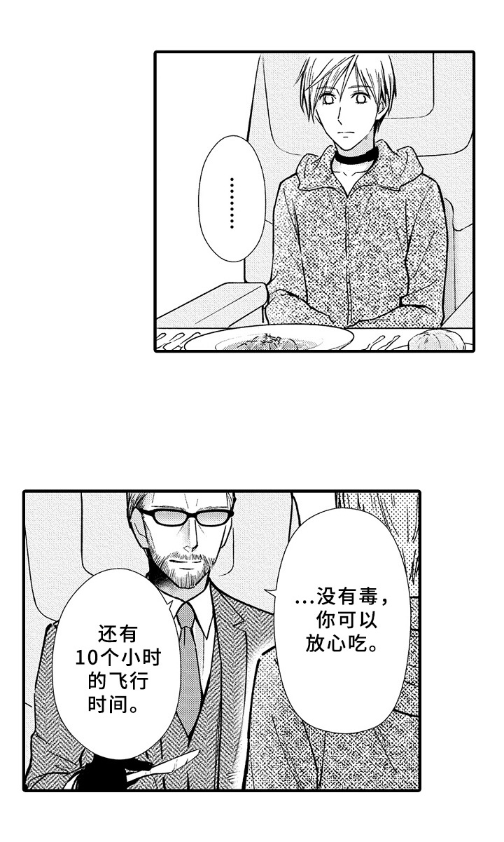 第41章：预案10