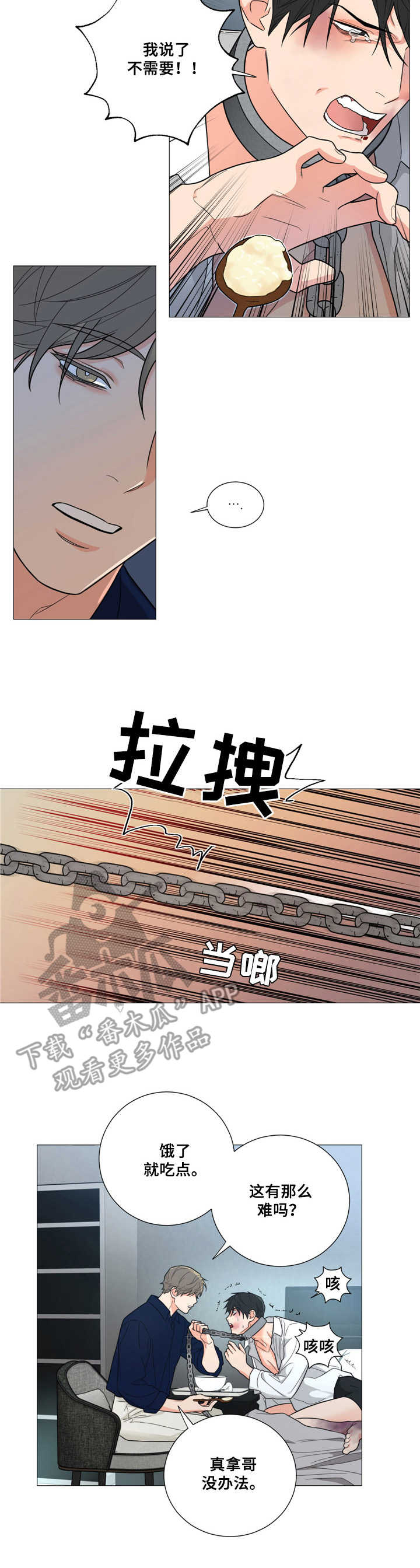 第5章：喂食5