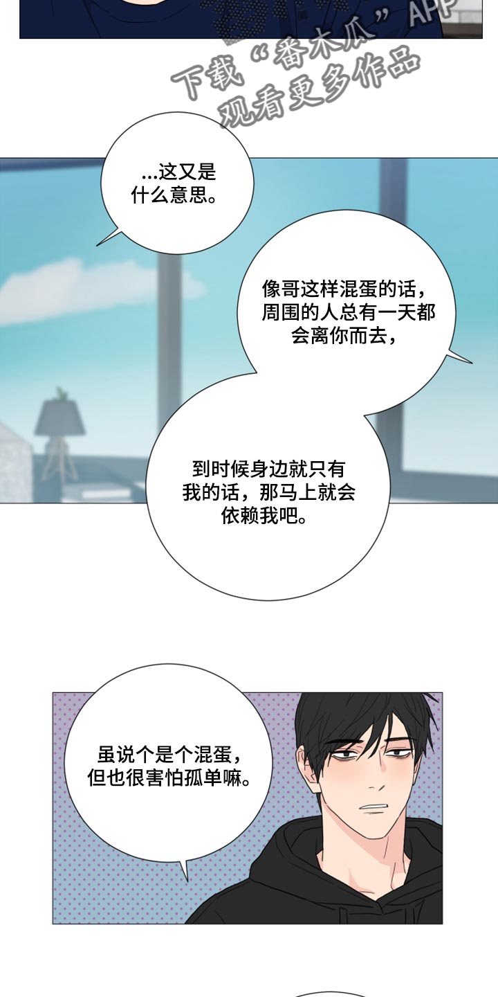 第52章：酒吧11