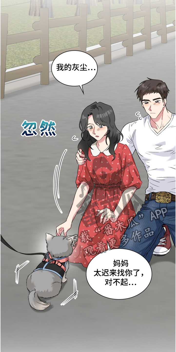 第62章：奇怪的相遇1