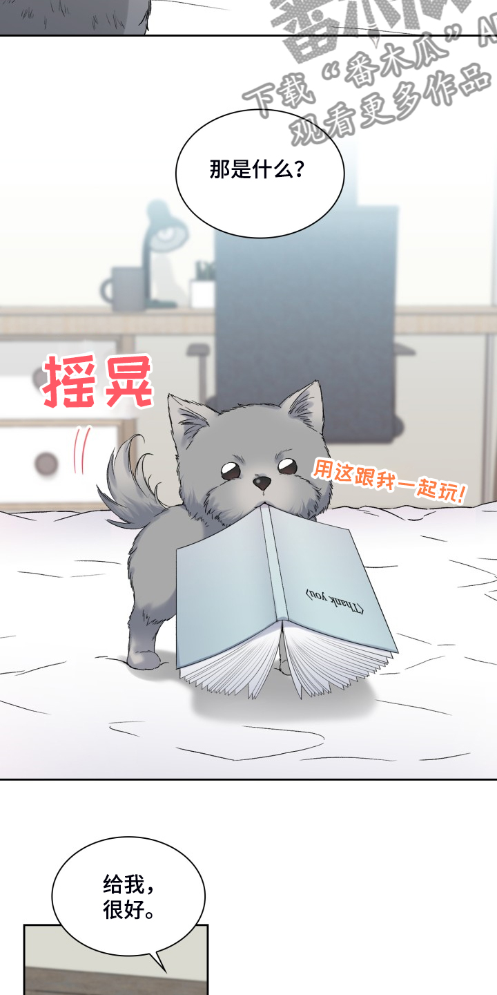 第84章：剧本6