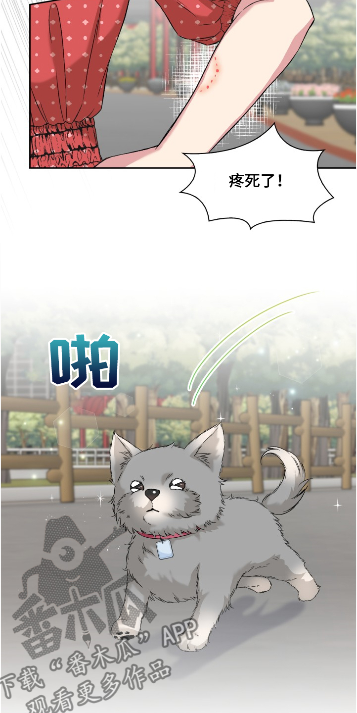 第62章：奇怪的相遇19