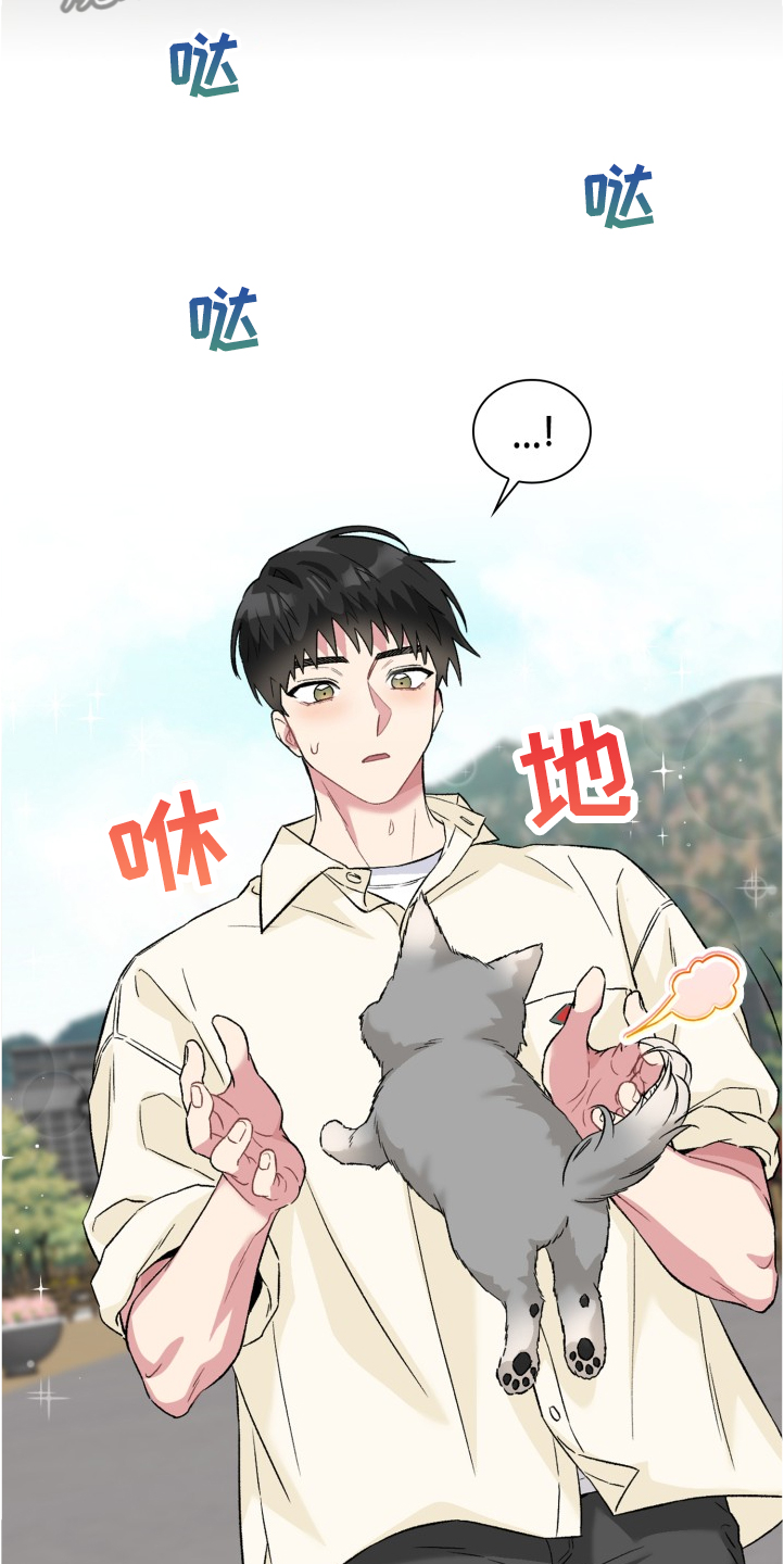 第62章：奇怪的相遇20