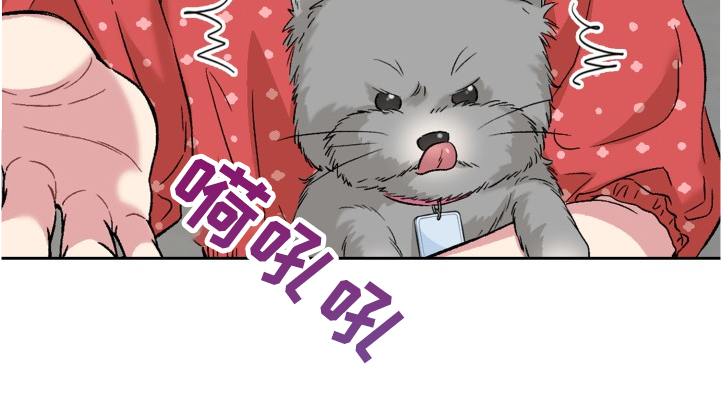 第62章：奇怪的相遇15