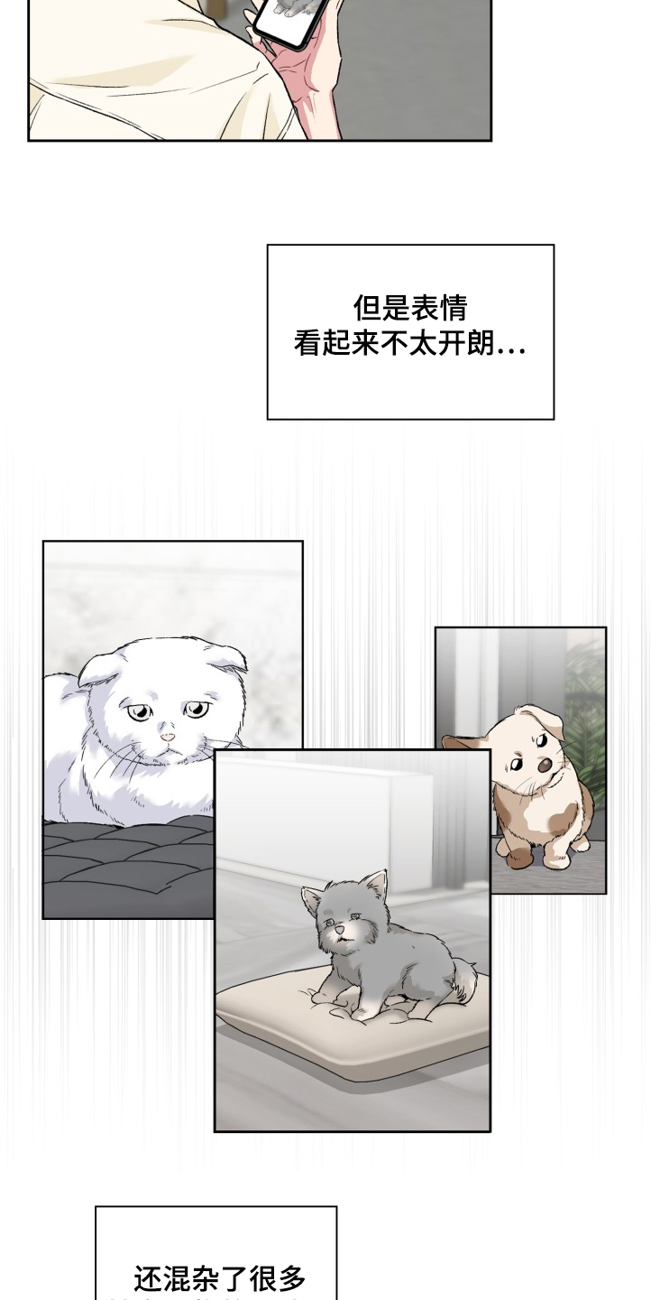 第62章：奇怪的相遇10