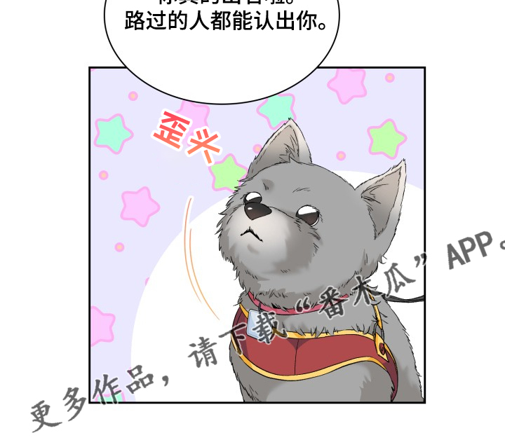 第60章：采访会11