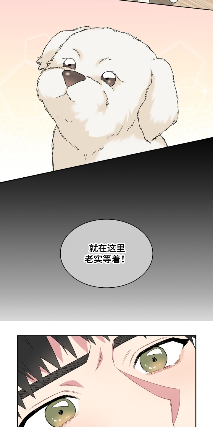 第60章：采访会14