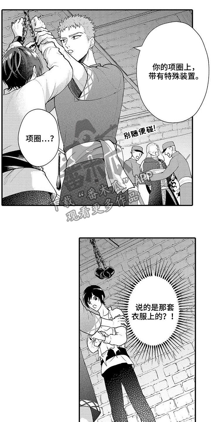 第41章：威望1