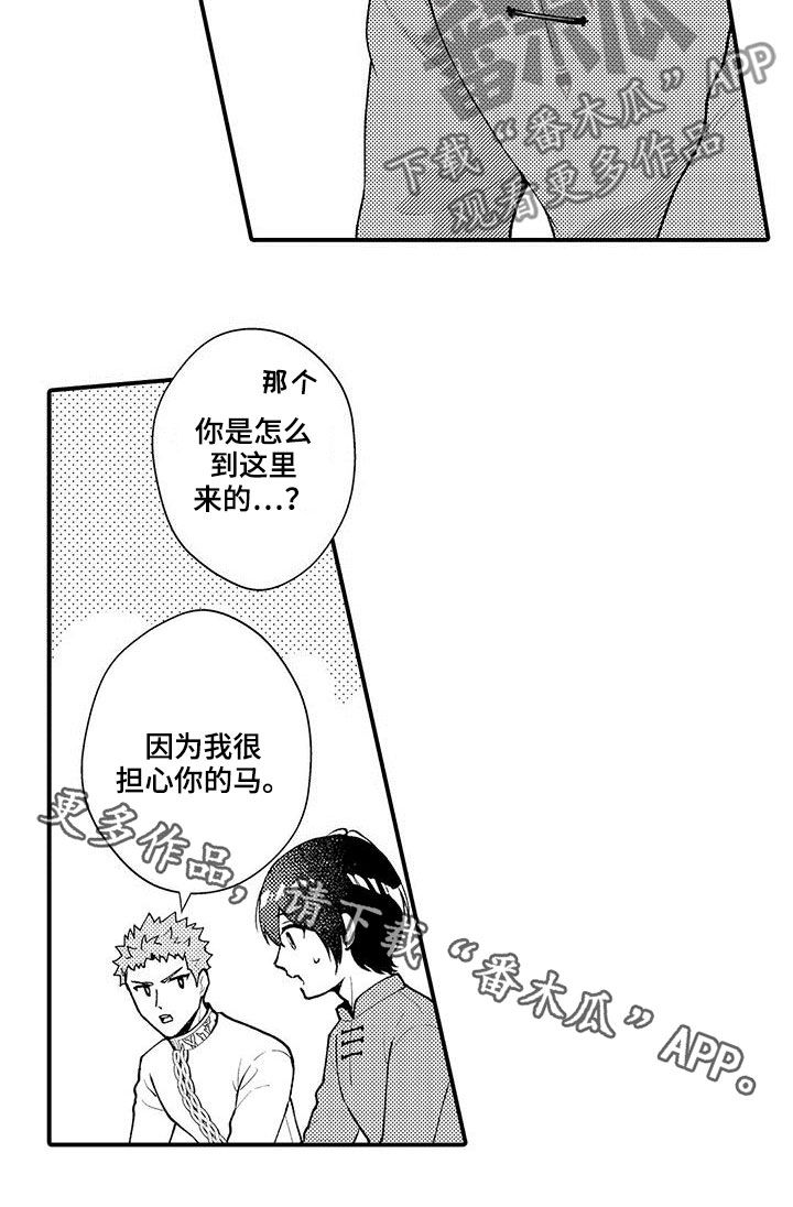 第49章：担心你的马13