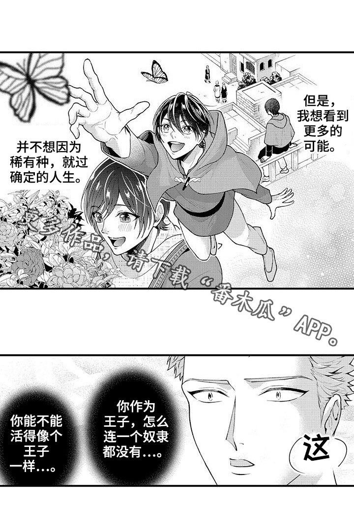 第44章：私定终身15