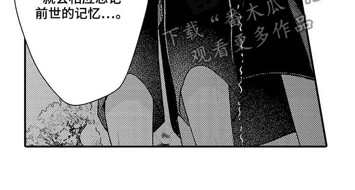 第37章：记忆替换10