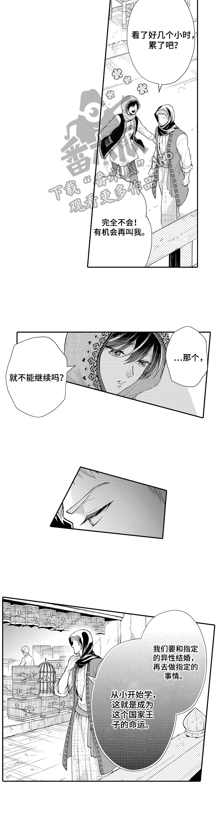 第15章：理解6