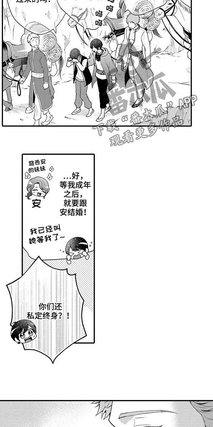 第44章：私定终身8