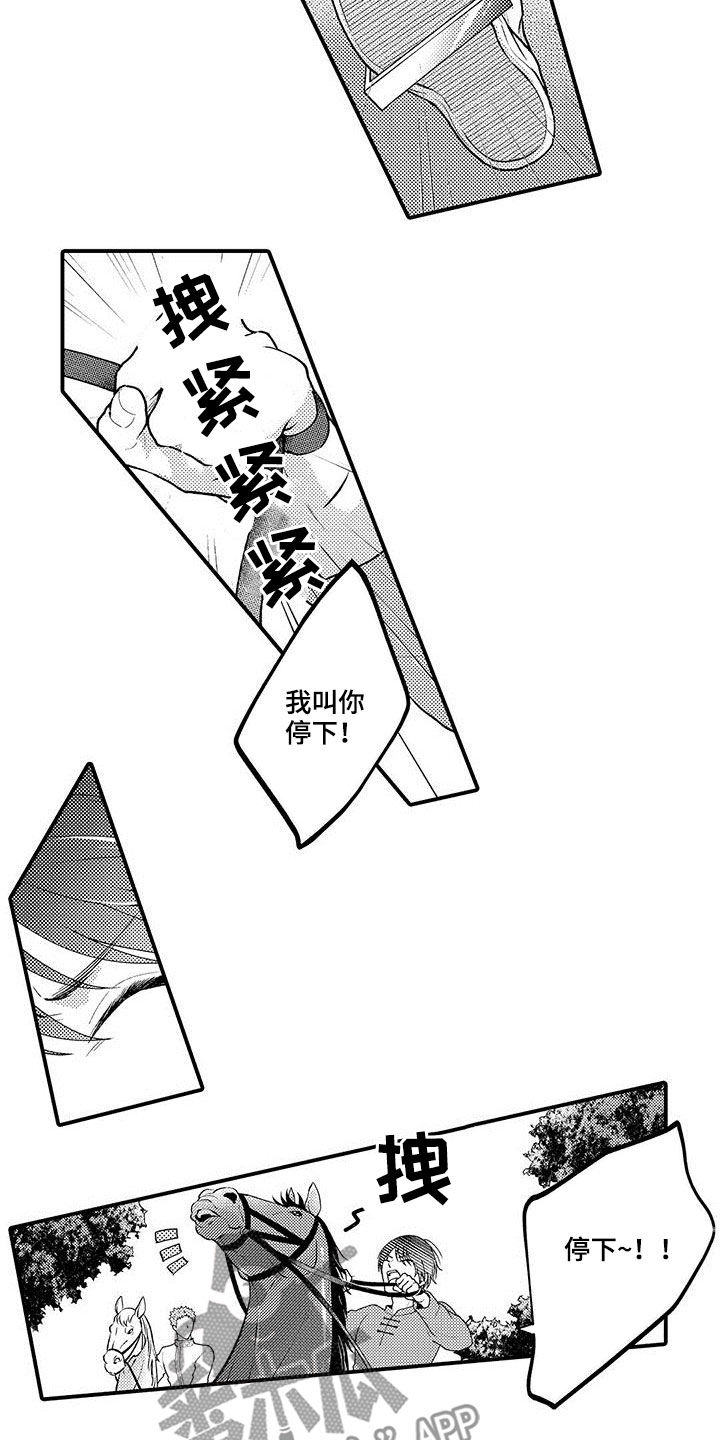 第49章：担心你的马11