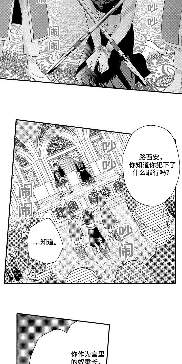 第41章：威望14