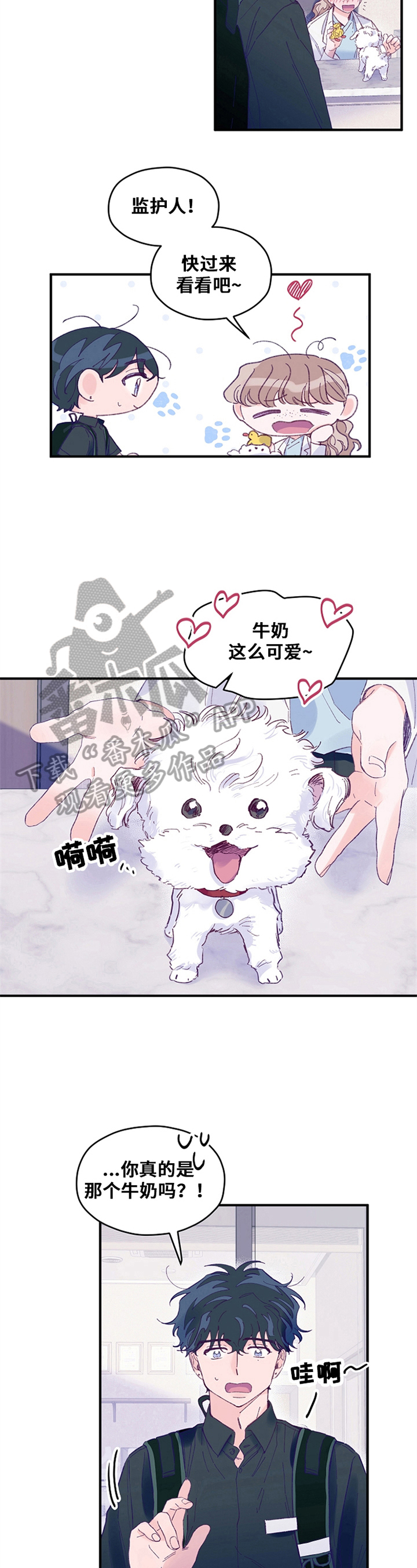 第28章：宠物的名字5