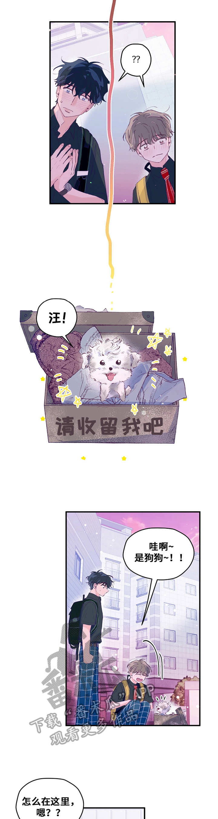 第25章：流浪狗5