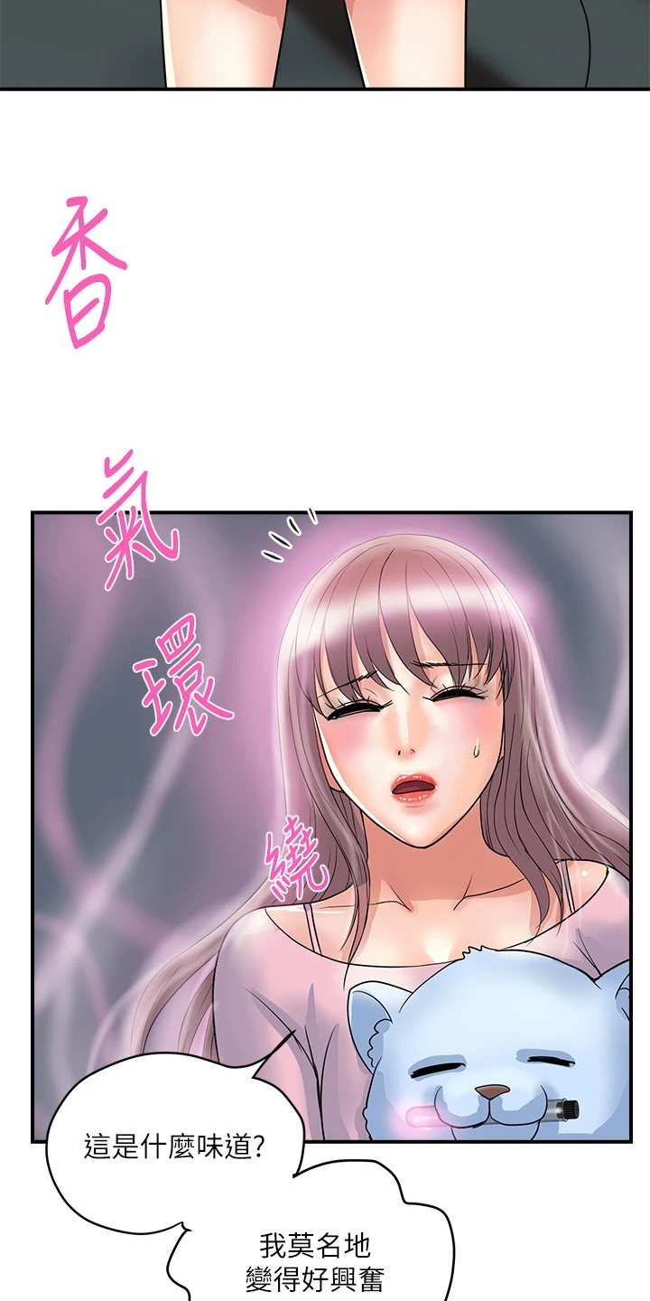 第65章：【完结】不再需要了25