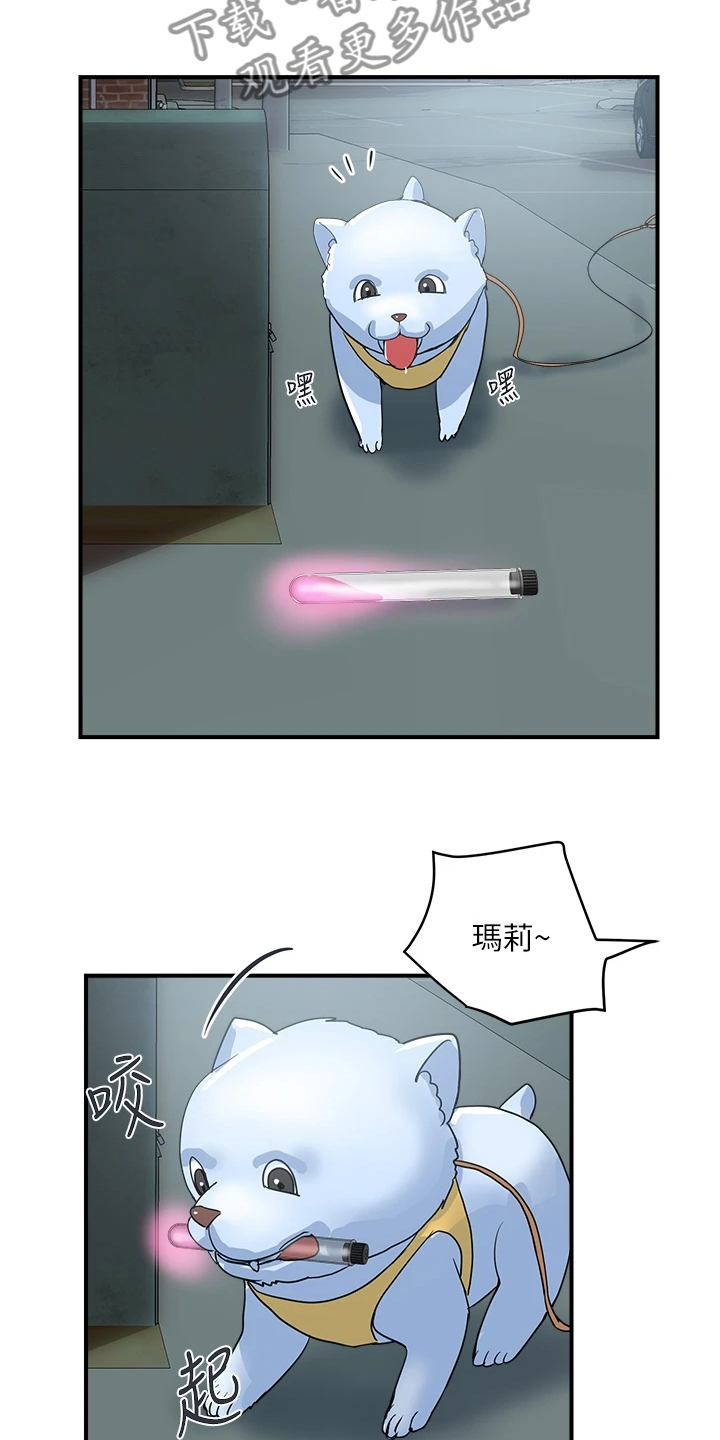 第65章：【完结】不再需要了23