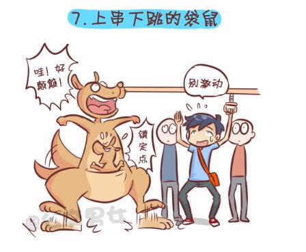 257-十种动物挤公交8