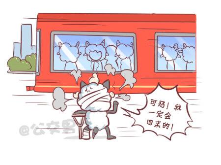 257-十种动物挤公交13