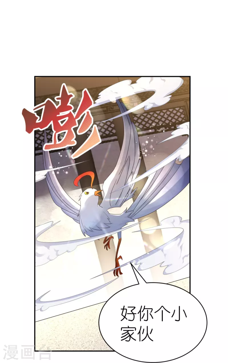 第364话 灵鸟行踪23