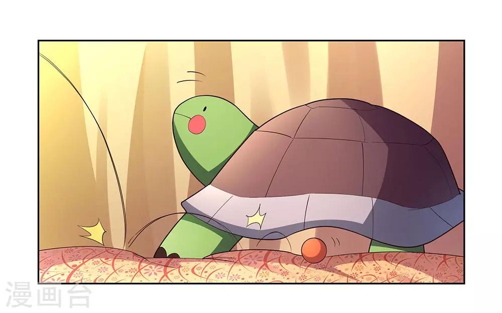 第52话 吃货小乌龟8