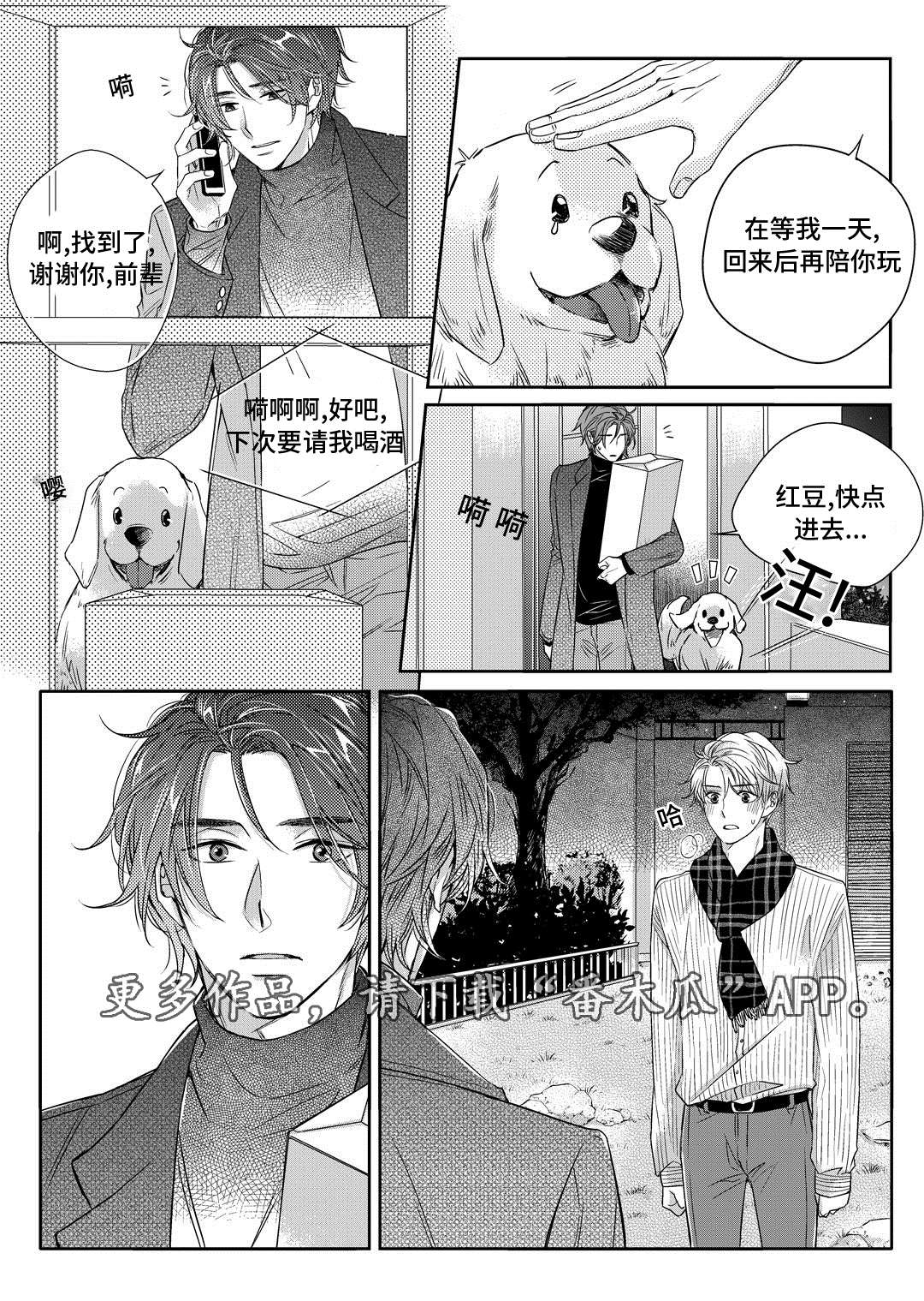 第19章：发烧20