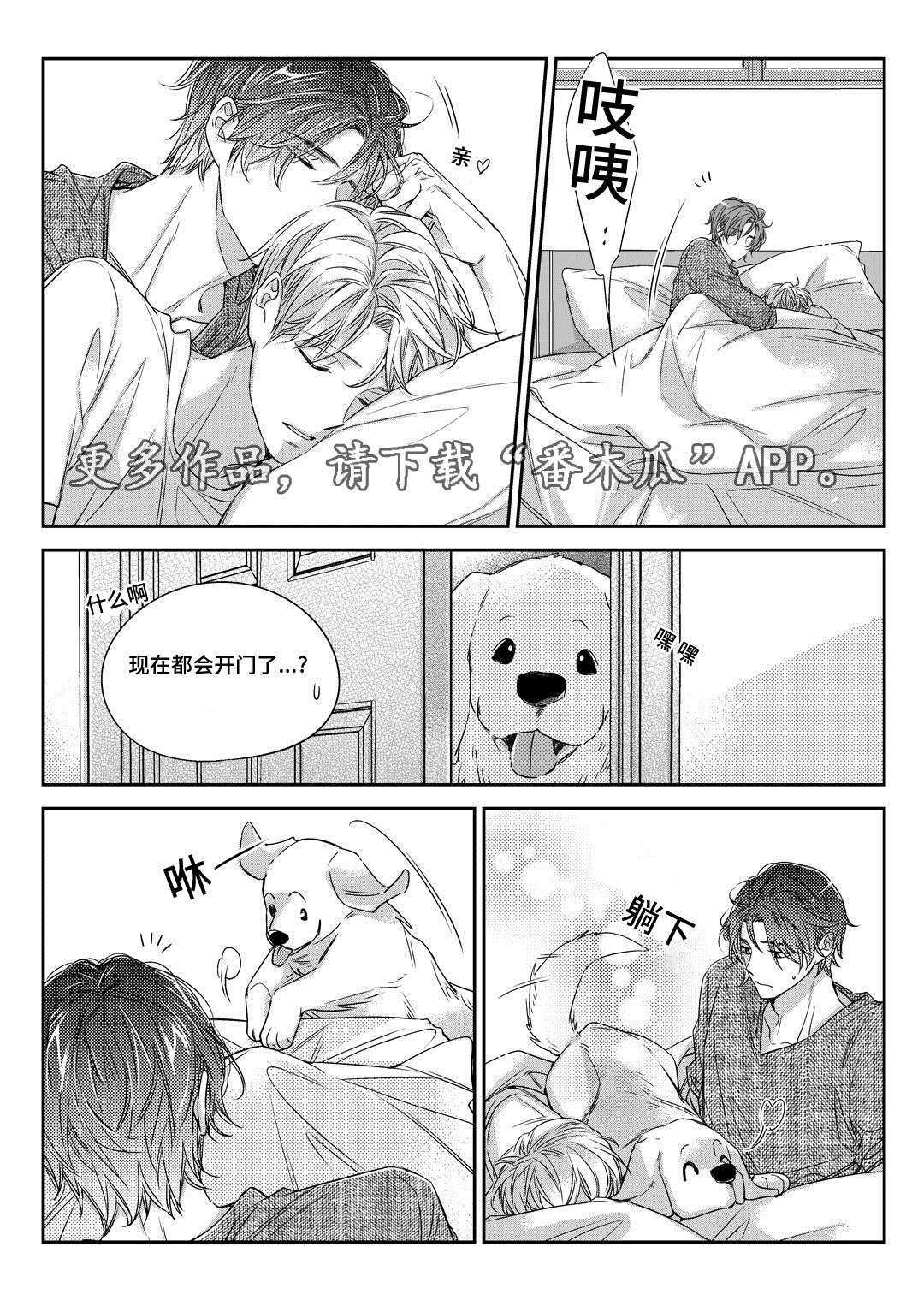 第26章：态度20