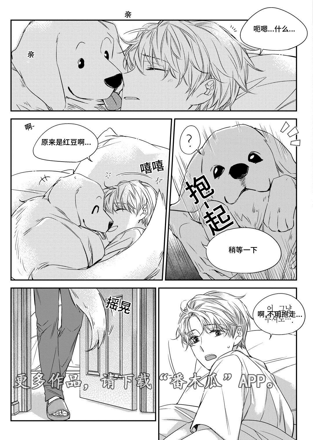 第26章：态度21