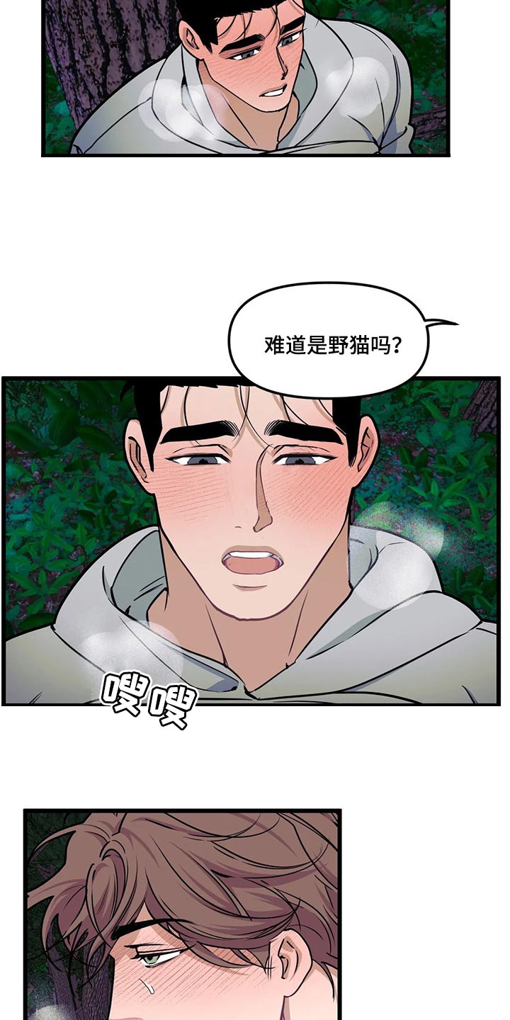 第99章：【第二季】野猫10