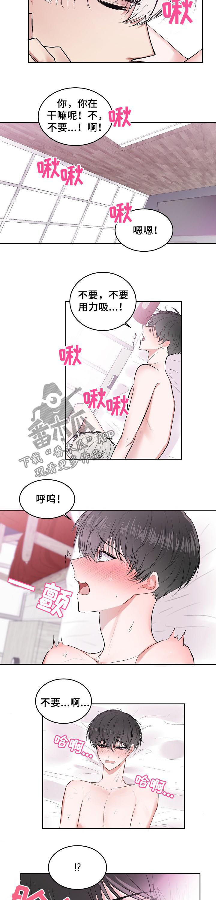 第21章：我是谁4