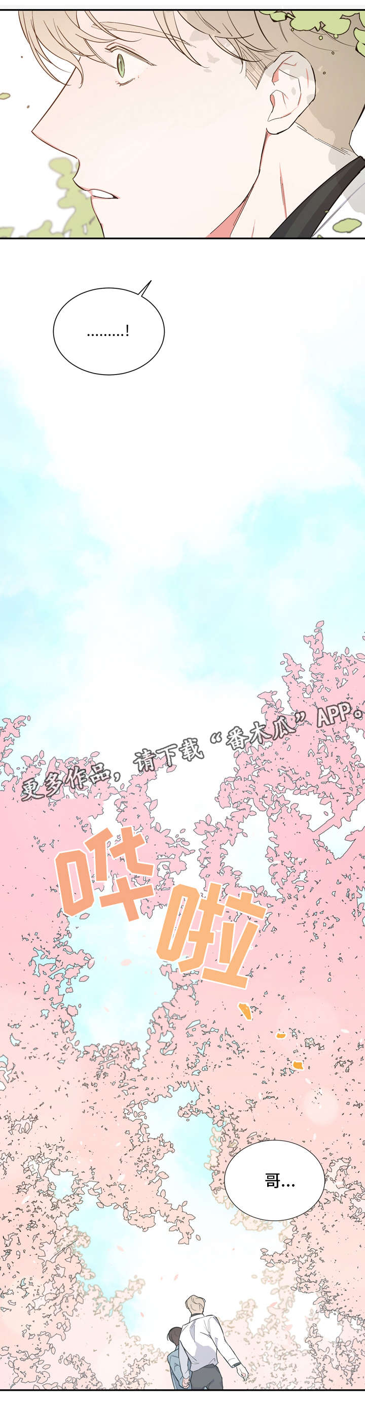 第20章：补偿4