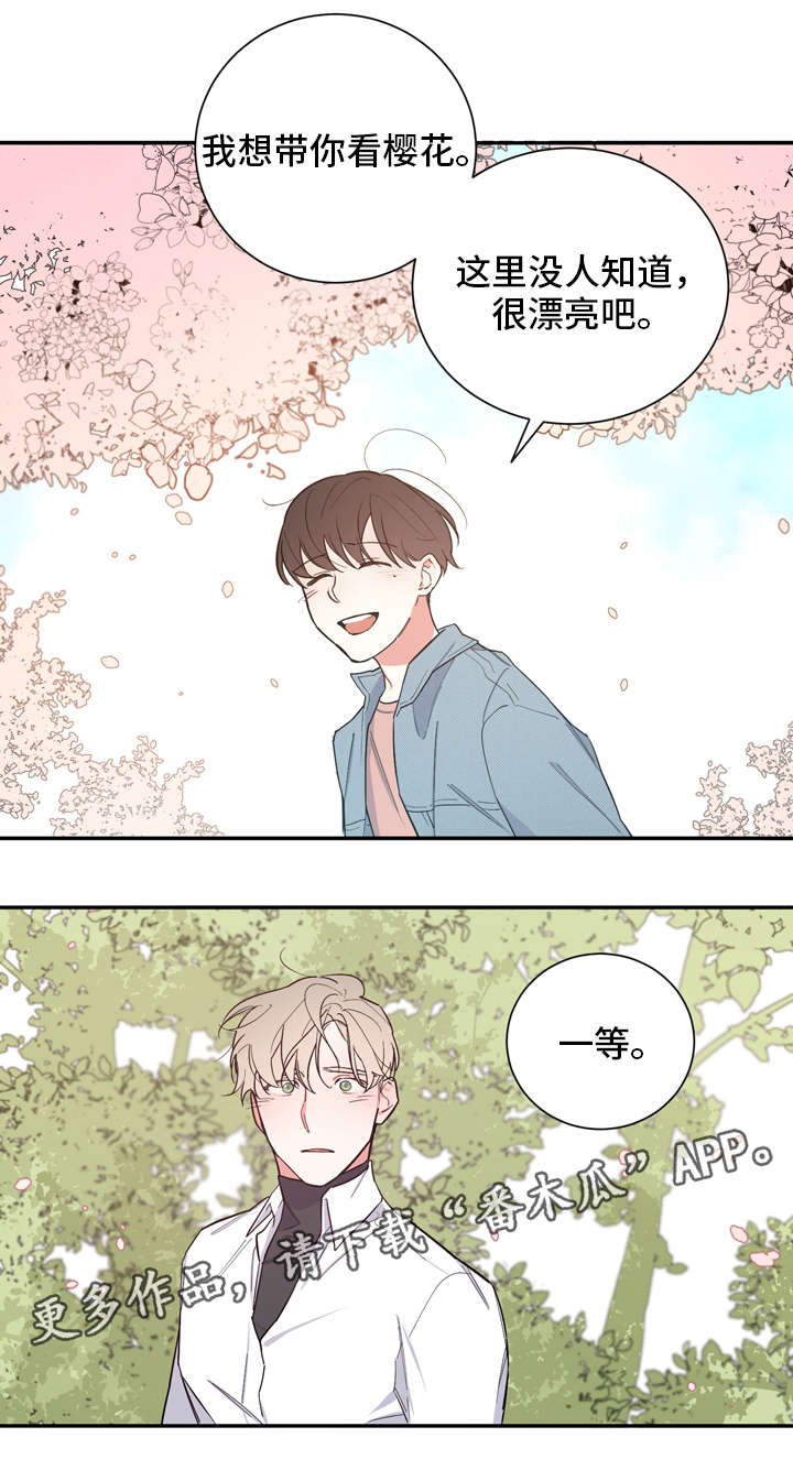 第20章：补偿5
