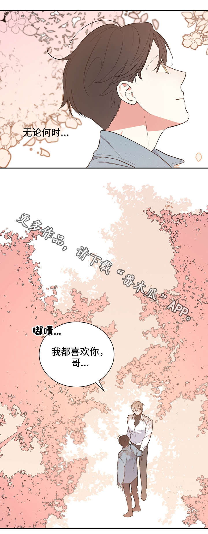 第20章：补偿7