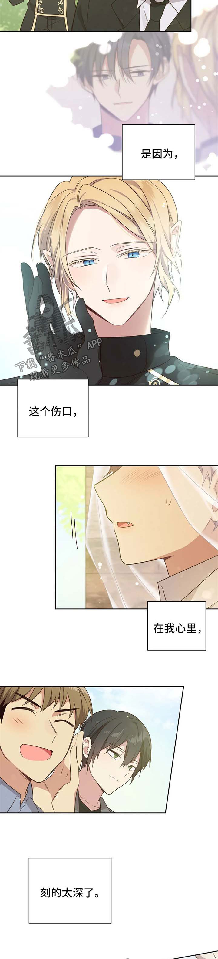 第110章：番外：雷奥1111