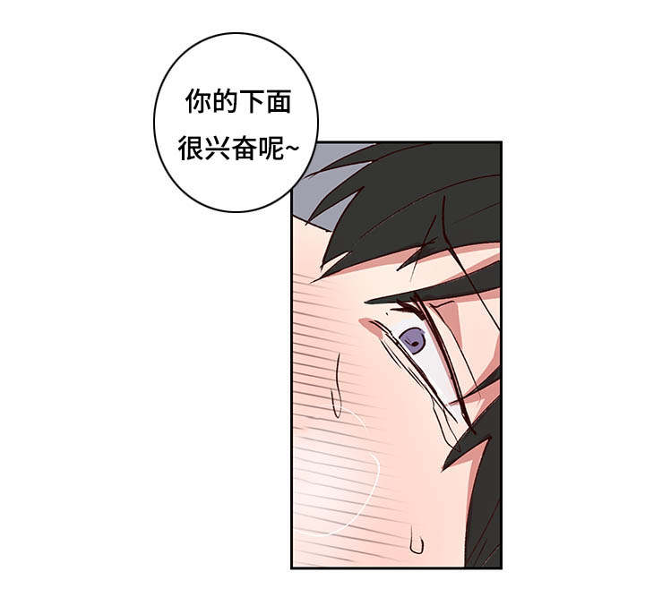 第28章：我答应你8