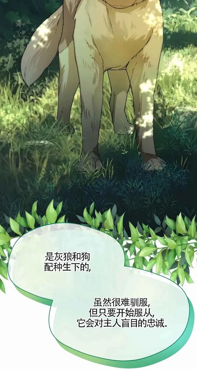 第23话62
