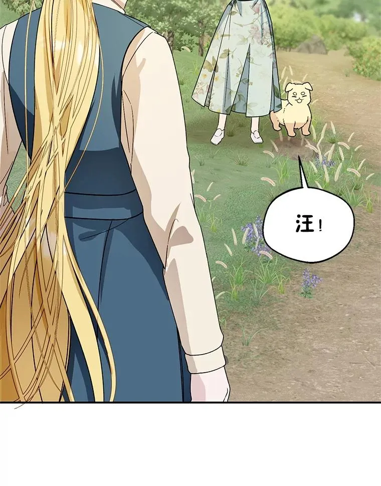 44.卖香草54