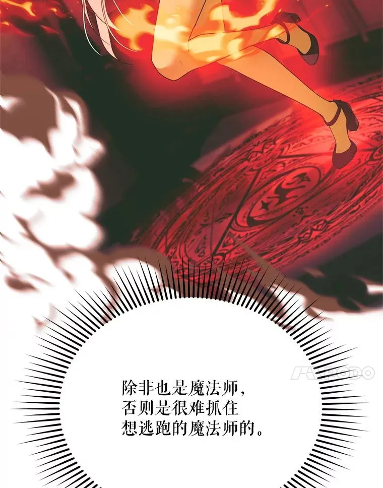 52.偶遇魔法师46