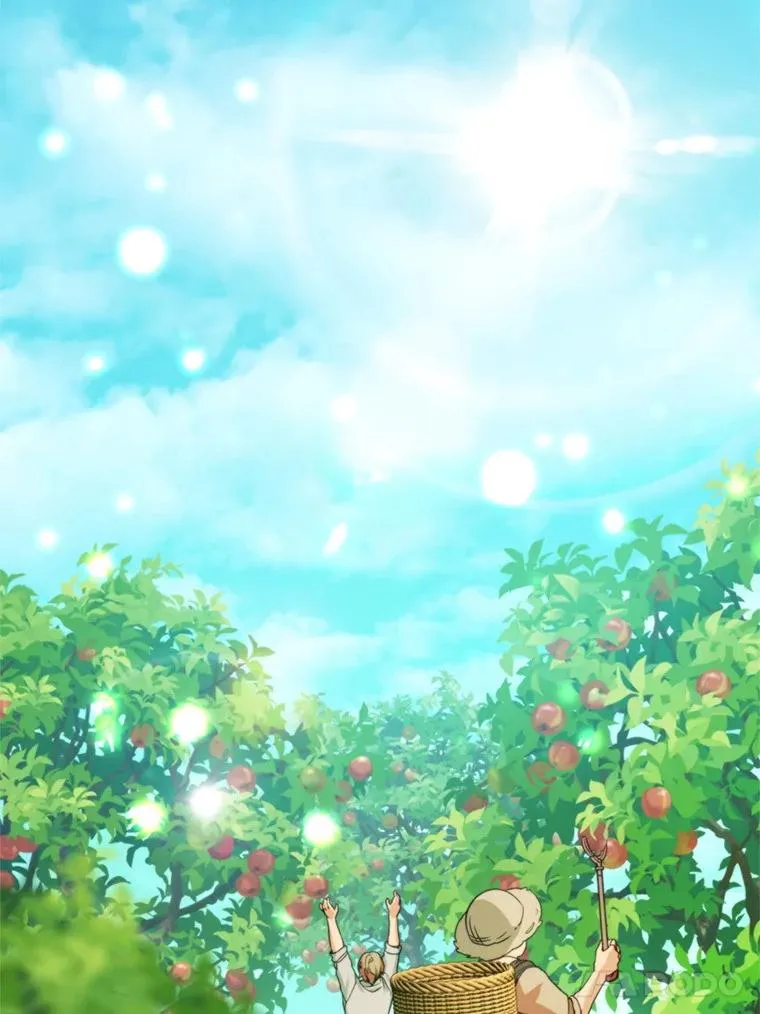 58.夏日庆典33